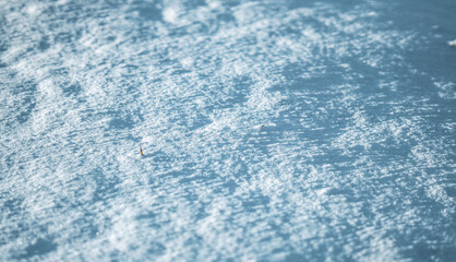 Snow texture