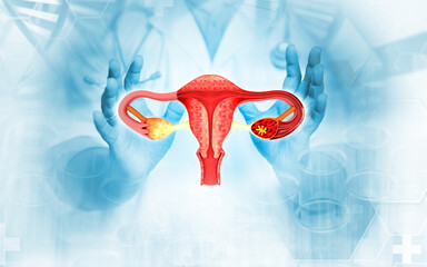 The concept of protecting and supporting the female uterus