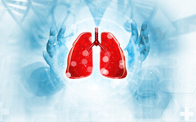 Human lung anatomy, Healthcare and medicine, Human respiratory system, 3d illustration