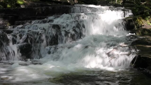 une rivi&egrave;re dans la for&ecirc;t
