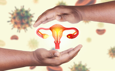 The concept of protecting and supporting the female uterus.