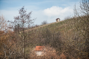 Weinberghäuschen an Weinberg vor Wolkenhimmel