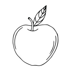 Food items - Apple. Vector doodle illustration in eps10