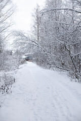 Obraz premium snow covered road