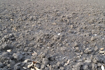 Treated soil. Land for planting agricultural plants. Background.