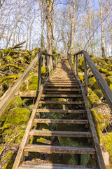 Long staircase on a footpath in the woodland