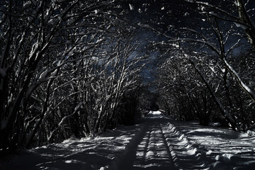 Image of a winter footpath.