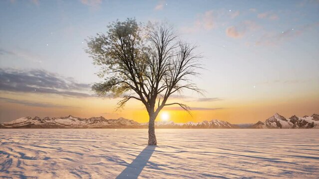 Single tree winter spring on sunset nature forest landscape 4k