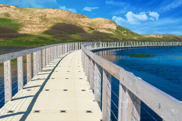 Floating boardwalk heading to the dunes in Prince Edward Island National Park, Canada.