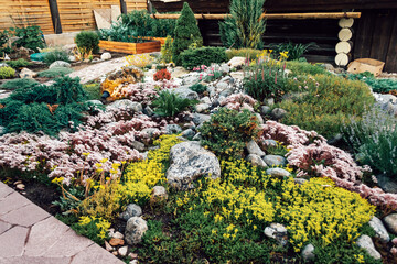 Landscaping of various plants in a country house
