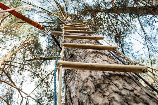 Rope ladder and climbing equipment on a tree in the forest