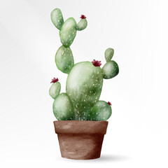 Watercolor cactus with flowers in clay pot vector design