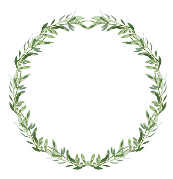 couronne De feuilles d&rsquo;olivier, fond blanc 