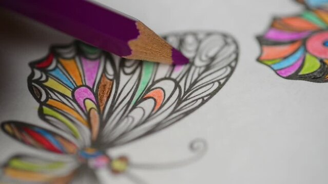 Little girl draws butterflies on a coloring book 
