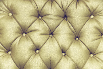 Vintage golden yellow printed leather sofa. textured graphic resource. buttoned up
