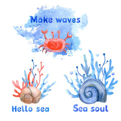Watercolor compositions with seashells, seaweed and sea crab on white background. Hand painted lettering and illustration isolated on white background. Red, beige and blue colors.