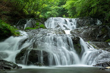 Fototapeta premium 魚止の滝