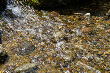 キラキラ輝く曲水の水