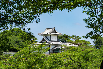 Fototapeta premium 初夏の緑の包まれた金沢城の石川門
