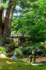 Fototapeta na wymiar 初夏の緑の包まれた石川県金沢市にある兼六園