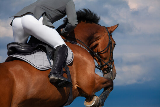 A rider on horseback jumping on blue sky background. Sportsman on bay horse jumping on nature background.