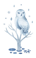 Set of arctic animals. Northern wild animals. Watercolor illustration. For children's books, postcards, stickers, sublimation.