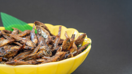 日本の料理「田作り」”Sweet fried sardines”