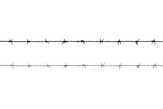 barbed wire isolated on white with clipping path            