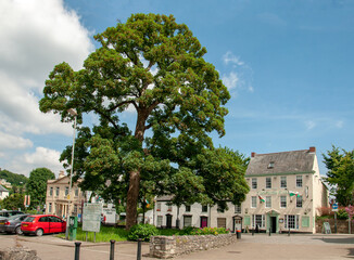 Fototapeta premium Chepstow town and castle in the summertime.