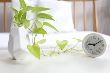 Green jade goden pothos plant and white clock © paladin1212
