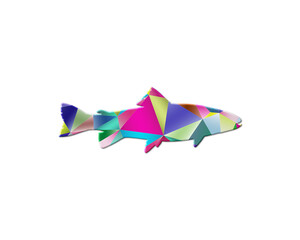 Fototapeta na wymiar fish animal Low Poly Multicolored Retro illustration