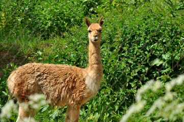 Nature is the world around us, not created by man. That which is primary, which appeared long before man. The natural habitat of man. Forests, mountains, seas, oceans, flora, fauna, and man himself.