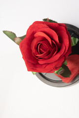 valentine red rose Festival of love Wedding flower Red rose flower