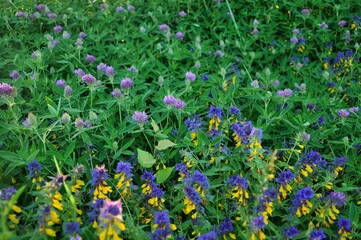 Nature is the world around us, not created by man. That which is primary, which appeared long before man. The natural habitat of man. Forests, mountains, seas, oceans, flora, fauna, and man himself.