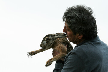 Veterinary or faunistic operator holding an european brown hare to check the health of the wild animal - Scientific researcher handling the wild animal outdoors - Faunistic research 