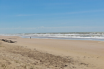 Praia com coqueiros e céu azul.