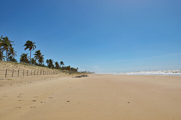 Praia e coqueiros.