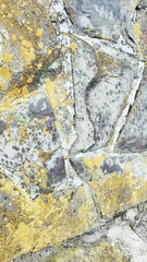 stone pavement with abstract pattern.