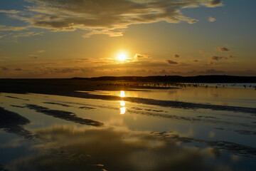 Fototapeta na wymiar Sunset at low tide over the sea with lots of seagulls