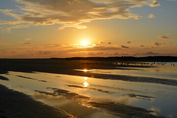 Sunset at low tide over the sea with gulls