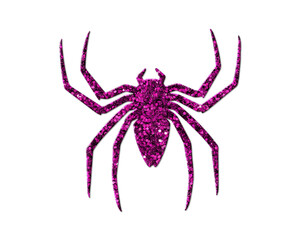 Spider Arachnid Purple Glitter Icon Logo Symbol illustration
