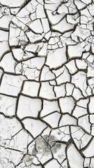 Summer. Dry land in the cracks. Black soil. cracked soil ground into the dry season. Cracked earth background texture.