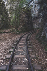 A railroad track leading into the forest. Narrow gauge railway in the guam gorge.