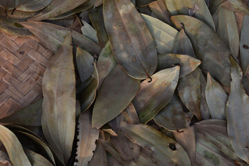 close up of a Indian spice