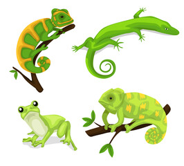 Reptiles and amphibians. Cartoon frog, chameleon, crocodile, lizard and turtle, wildlife animals. Cartoon exotic amphibian and reptiles