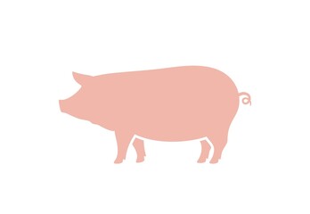 Pig logo. Isolated pig on white background