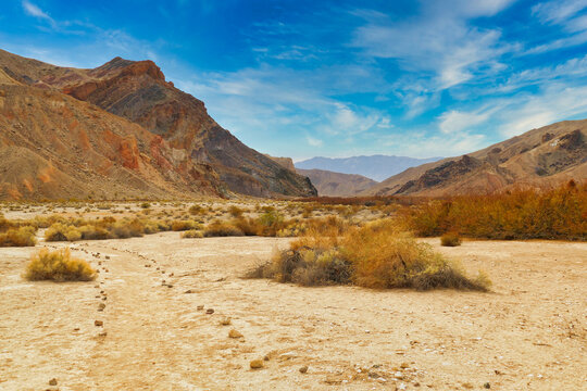 Walking track through the desert at China Ranch Date Farm, Tecopa, California
