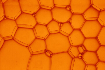 bulles d'eau en forme de nid d'abeille