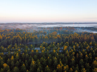Obraz premium Sky morning forest fog drone pictures
