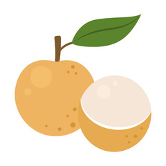 Longan whole fruit and half sliced isolated on white background. Dimocarpus longan cartoon icon for package design. Vector illustration of tropical fruits in flat style.